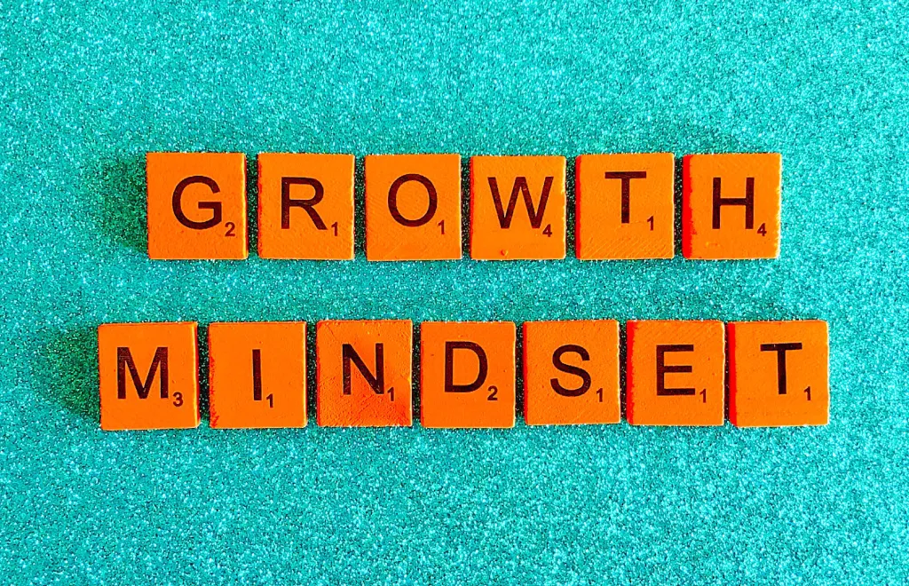 growth mindset in a puzzle