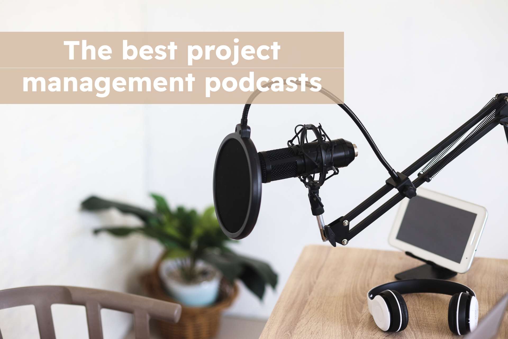 project management podcasts