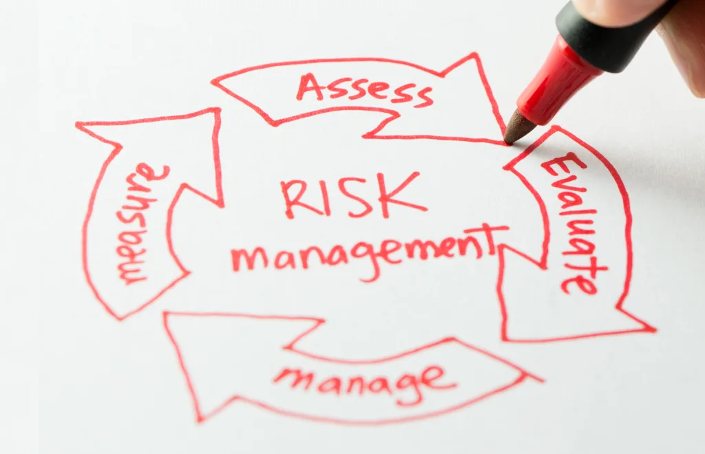 a illustration of a project risk management cycle