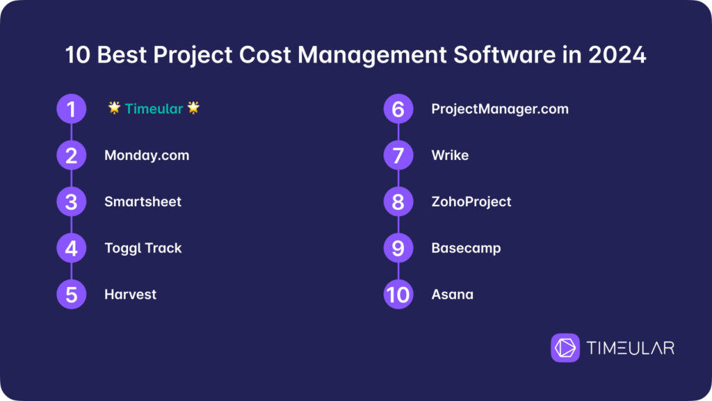 10 best project cost management software