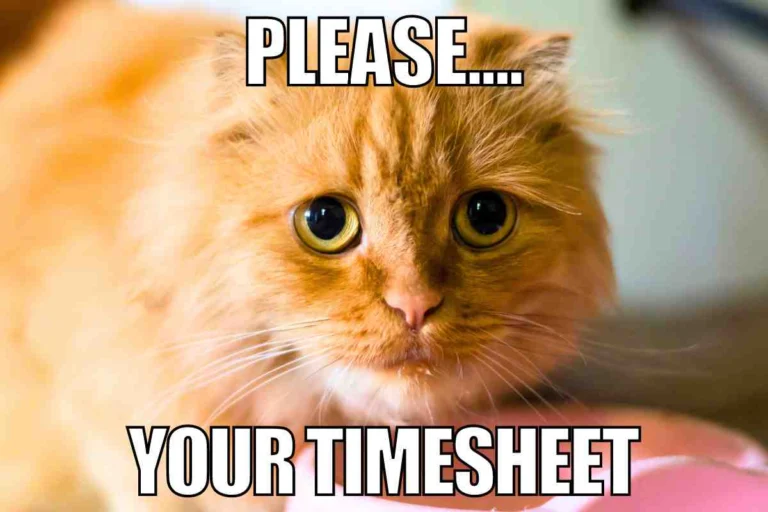 timesheet meme